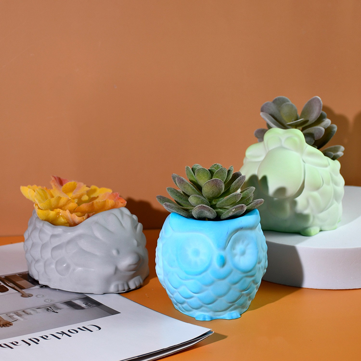 3D Animal Flower Pot Silicone  - مراجعة Potsticker Mold وسعره