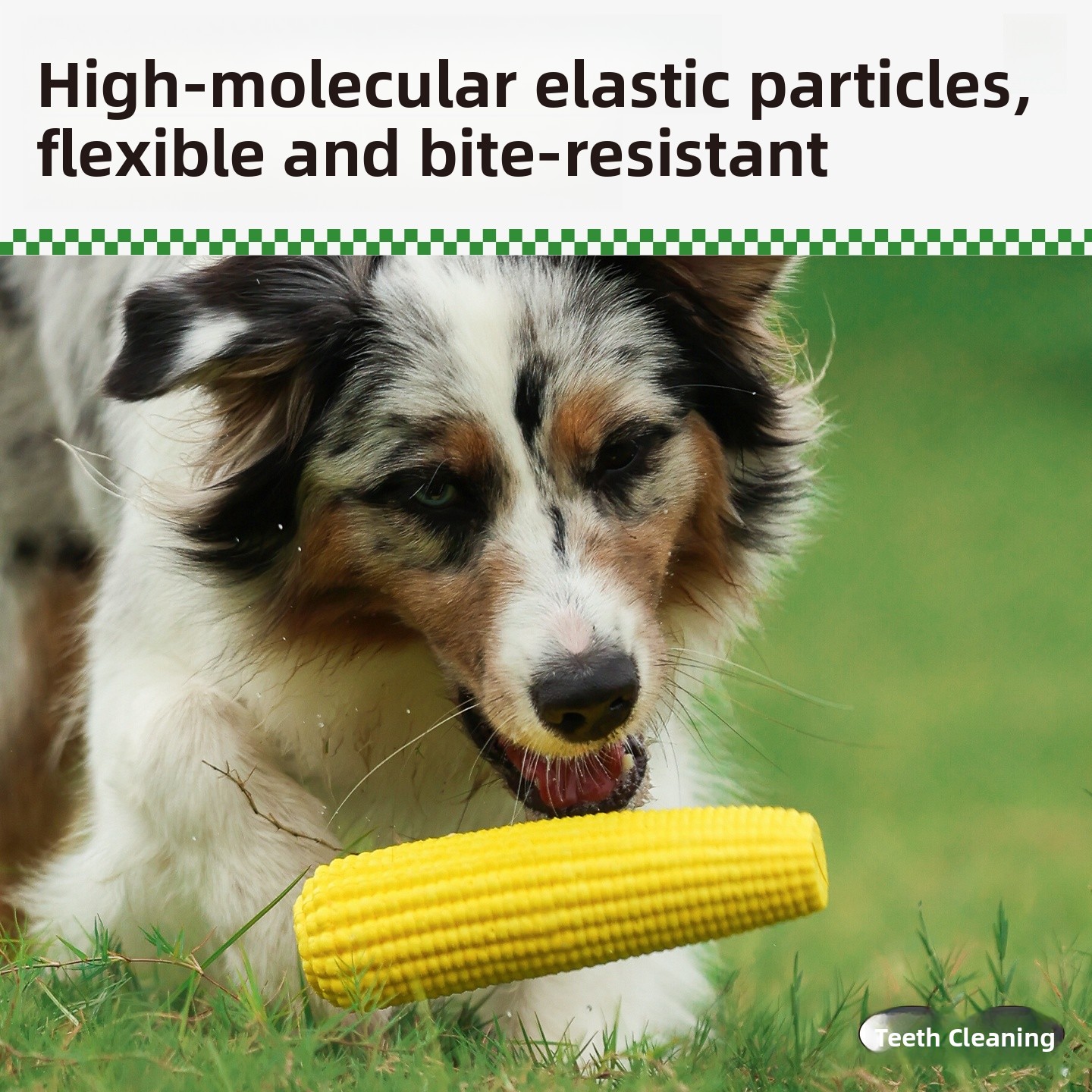 QZee Durable ETPU Corn Dog Toy - مراجعة Corn Dog Stick وسعره