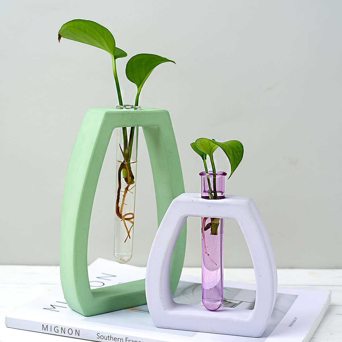 Hydroponic Test Tube Vase Sili - مراجعة Potsticker Mold وسعره