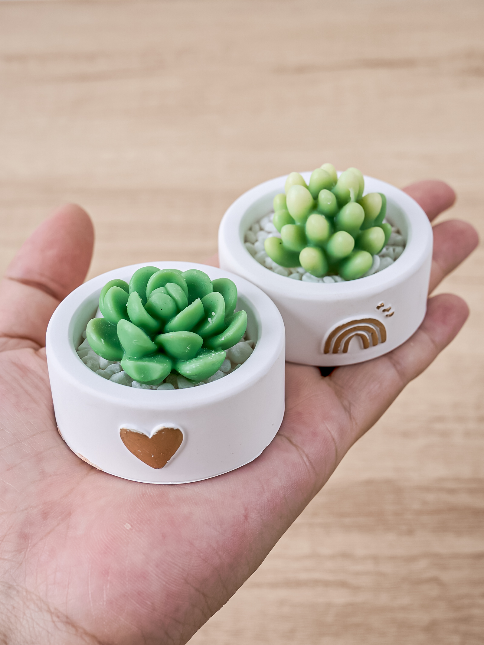 Round Candle Cup Holder Silico - مراجعة Potsticker Mold وسعره